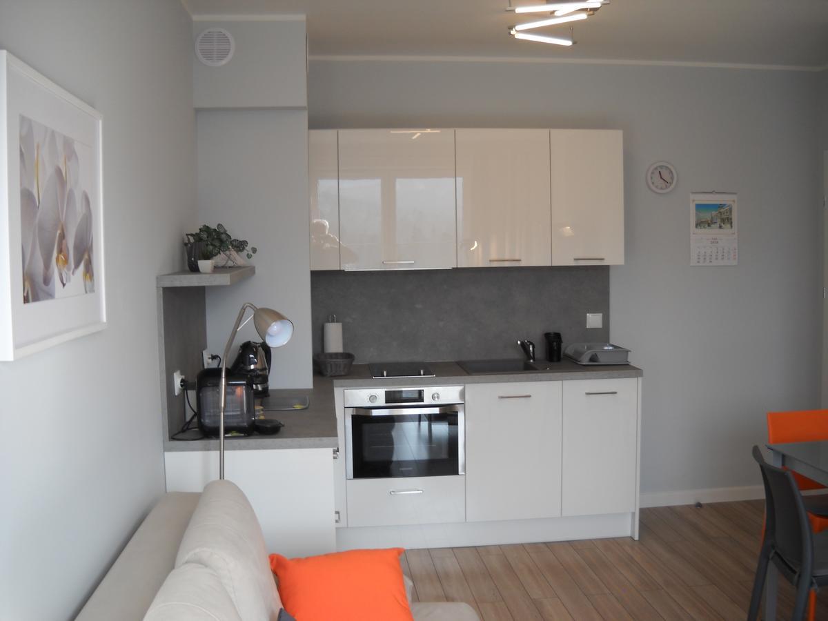 Apartamenty Amika Шклярска Поремба Екстериор снимка
