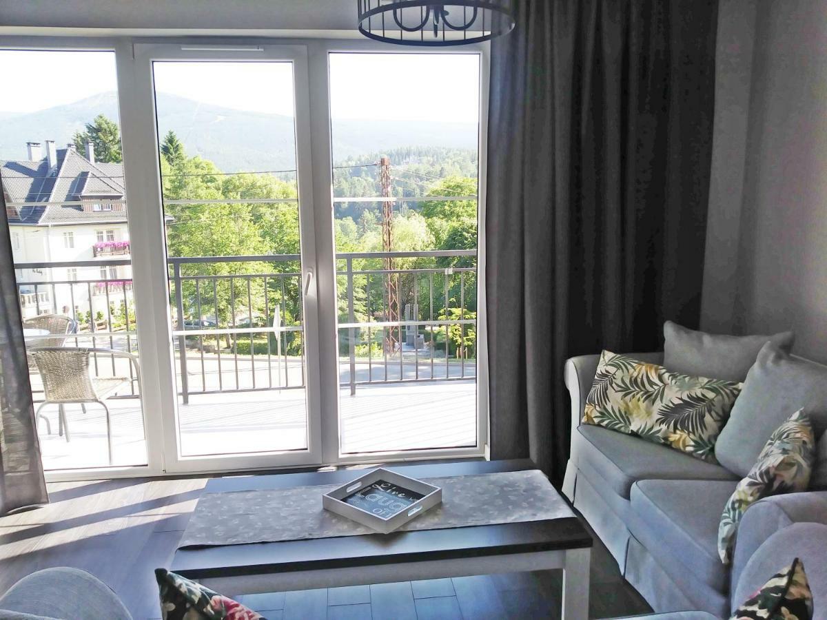 Apartamenty Amika Шклярска Поремба Екстериор снимка