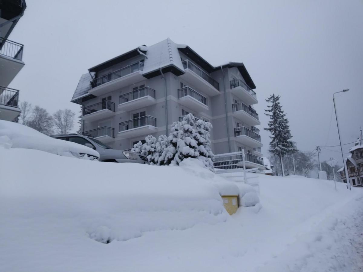 Apartamenty Amika Шклярска Поремба Екстериор снимка