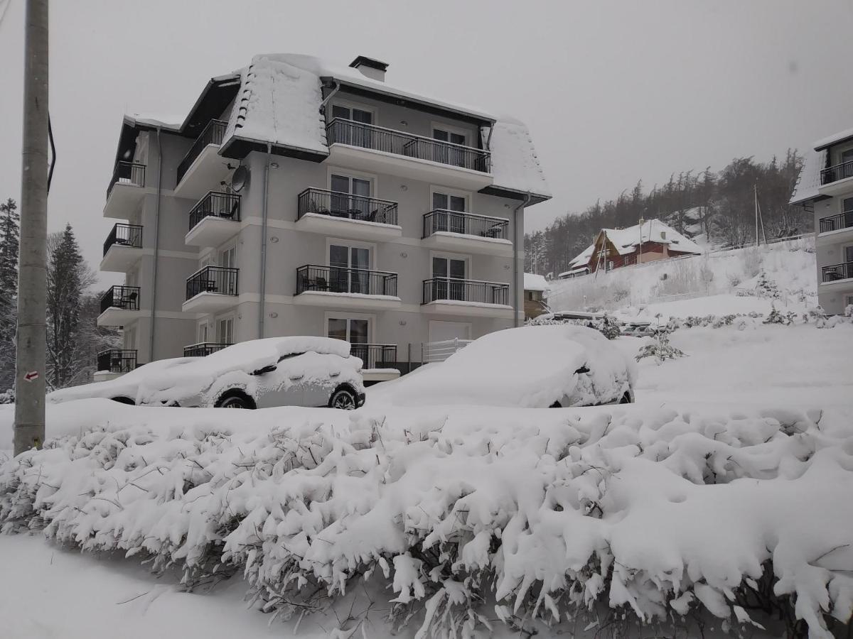 Apartamenty Amika Шклярска Поремба Екстериор снимка
